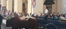 IMG_20220904_104604.jpg