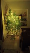 IMG-20221207-WA0005.jpg