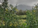 IMG-20230520-WA0011.jpg