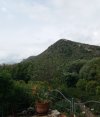 20230521_110355.jpg