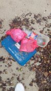 20230521_111951.jpg 20230521_111951.jpg