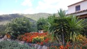 20160602_104007.jpg
