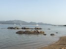 9DBD8242-CF8B-44BE-A53C-817D2448CE58.jpeg