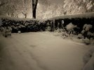 IMG_4275.jpeg IMG_4275.jpeg