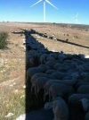 IMG_9102.png IMG_9102.png