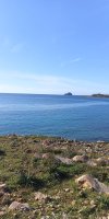 IMG_20240403_091609_205.jpg