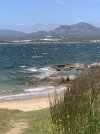 IMG_8749.jpeg
