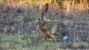 DSCN1777.JPG DSCN1777.JPG