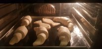 20201227_050940.jpg 20201227_050940.jpg