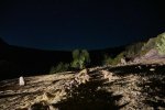 _DSC0460.jpg _DSC0460.jpg