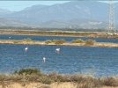 IMG_3829.jpeg
