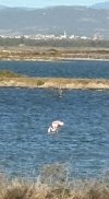 IMG_3831.jpeg