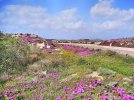 sardinien (13).jpg sardinien (13).jpg