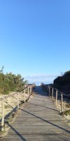 IMG_20241228_092045_384.jpg