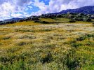 20250317_160405909~5.JPG
