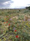 IMG-20250328-WA0000.jpg