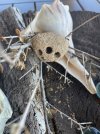 IMG_3366.jpeg
