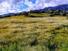 20250317_160405909~6.JPG