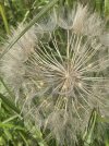 IMG_3655.jpeg