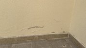 IMG_2348.jpeg IMG_2348.jpeg