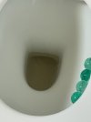 IMG_8950.jpeg
