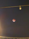 IMG_1794.jpeg IMG_1794.jpeg