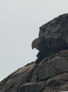IMG_4051.jpeg