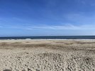 IMG_1250.jpeg