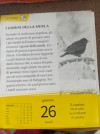 IMG_0695.jpeg