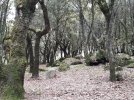 20240922_133841.jpg 20240922_133841.jpg