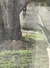 IMG_9167.jpeg
