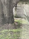 IMG_9166.jpeg