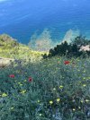 IMG_1822.jpeg