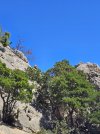 20260427_142942.jpg 20260427_142942.jpg