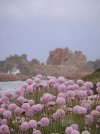 DSC00948.JPG