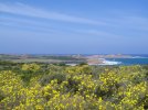 DSC01005.JPG