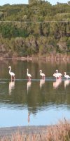 IMG_20260622_070849_070.jpg