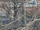 IMG_0692.jpeg