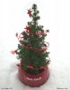 Mini_Weihnachtsbaum_750x950_Buon_Natale.jpg Mini_Weihnachtsbaum_750x950_Buon_Natale.jpg