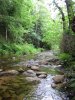 unser kleiner Fluss.JPG