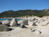IMG_0021.JPG