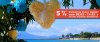 san_valentin2013_b.jpg san_valentin2013_b.jpg