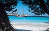 nordsardinien-delphina.jpg