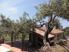 Piccolo Paradiso-50.JPG