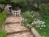 Sitzplatz mit Margeriten.jpg Sitzplatz mit Margeriten.jpg