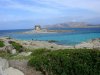 DSC09183.jpg