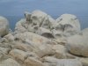 Sardinien 1 (120).JPG
