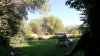 20130614_180426.JPG