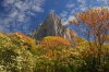 DSC_0055.JPG DSC_0055.JPG