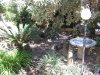 IMG_0152.JPG